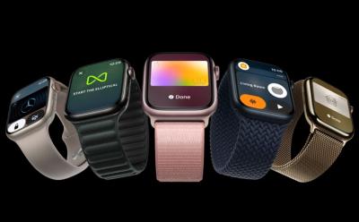 Apple Watch ban
