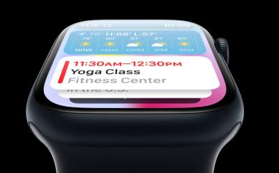 Apple Watch Ban official
