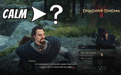 Change Pawn Inclination Dragons Dogma 2
