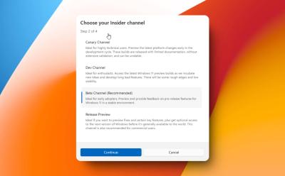 choose windows insider channel