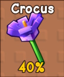 Crocus seed Grow a Garden