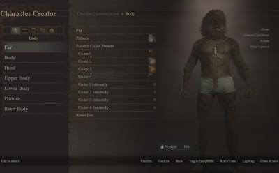 Dragon's dogma 2 character creator