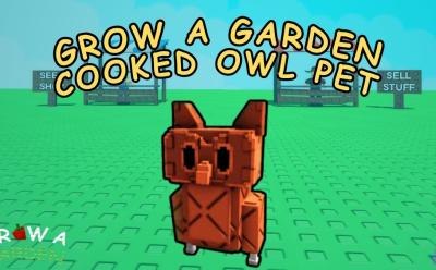grow a garden cooked owl pet