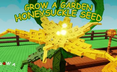 honeysuckle seed in grow a garden