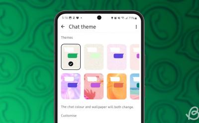 phone previewing the Chat theme screen inside the WhatsApp app in front of a green background full of WhatsApp logos