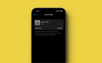 iPhone System Data Clear