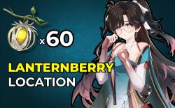lanternberry-location-wuthering-waves