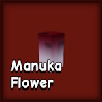 Manuka Flower in GAG