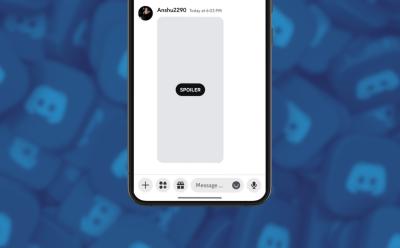 phone showing the Spoiler tag for an image inside the Discord app