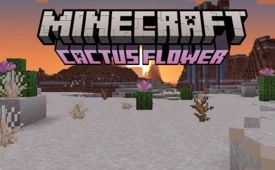 Minecraft Cactus Flower