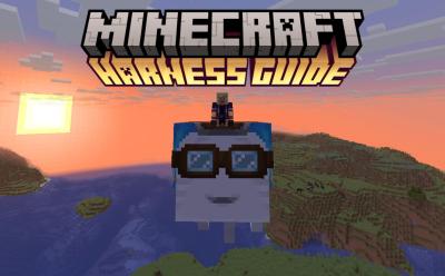 Minecraft Harness Guide