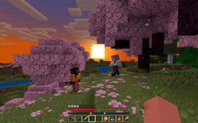 Minecraft Locator Bar