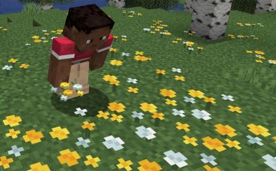 Minecraft Wildflowers