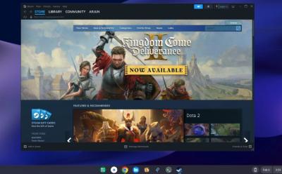 steam running on chromebook successfully
