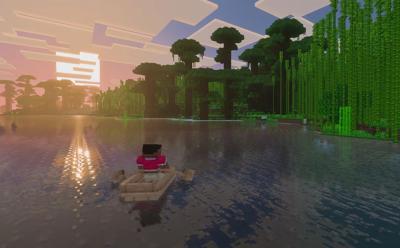 Vibrant Visuals Minecraft