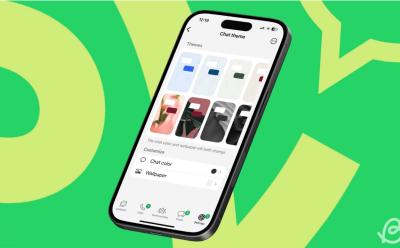 shot of an iPhone previewing the Chat theme screen inside the WhatsApp app on iOS