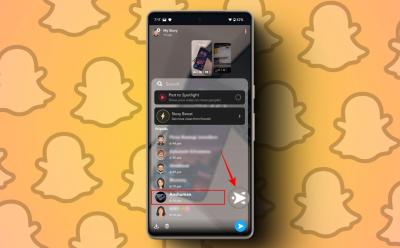 Who Screenshotted Snapchat Story Cover